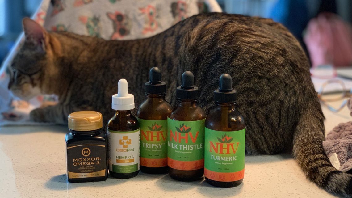 homeopathic-treatments-i-give-my-cat-with-kidney-failure-the-crazy