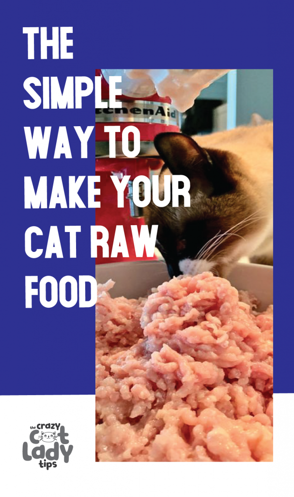 Quick and Simple Way to Make your Cat Raw Food The Crazy Cat Lady Tips