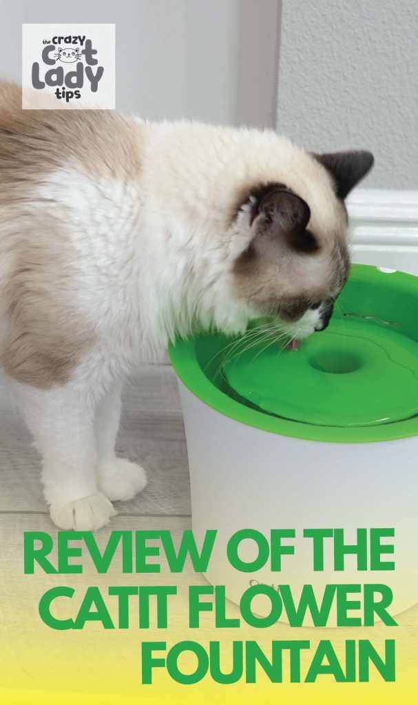 Catit Flower Fountain Review The Crazy Cat Lady Tips