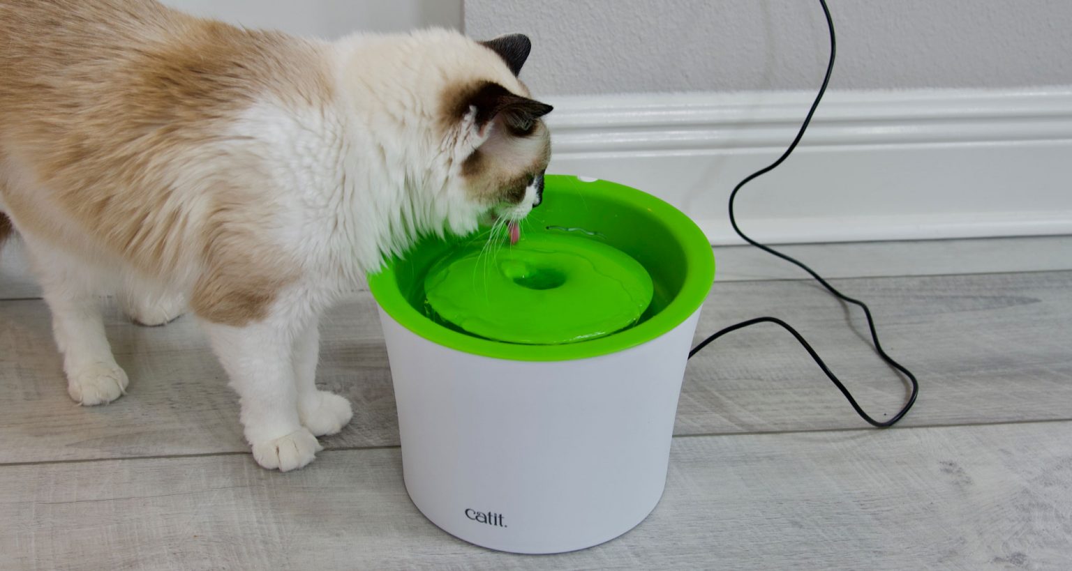 Catit Flower Fountain Review The Crazy Cat Lady Tips