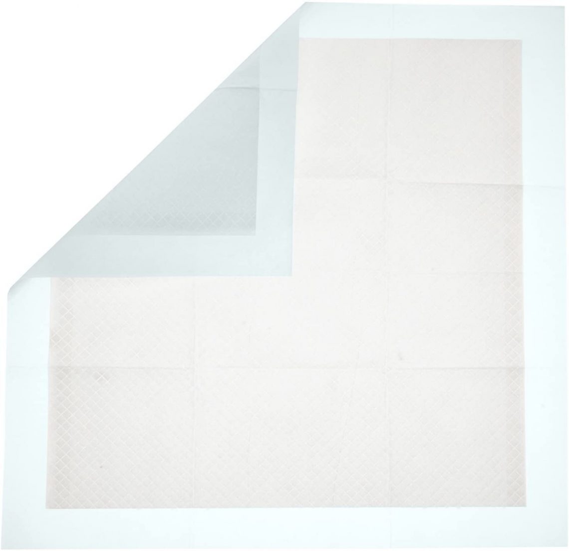 10 Tips for Successfully Using Pee Pads for Cats The Crazy Cat Lady Tips