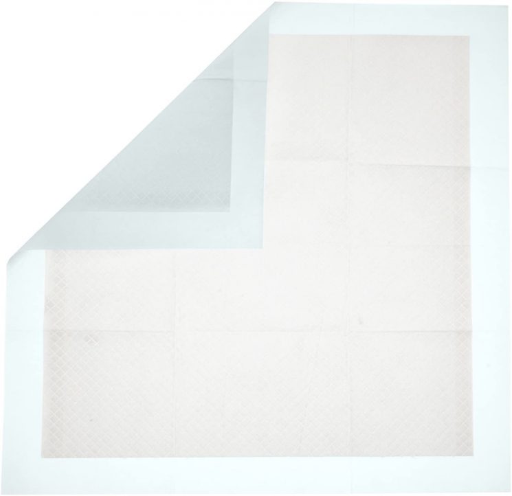 10 Tips for Successfully Using Pee Pads for Cats The Crazy Cat Lady Tips